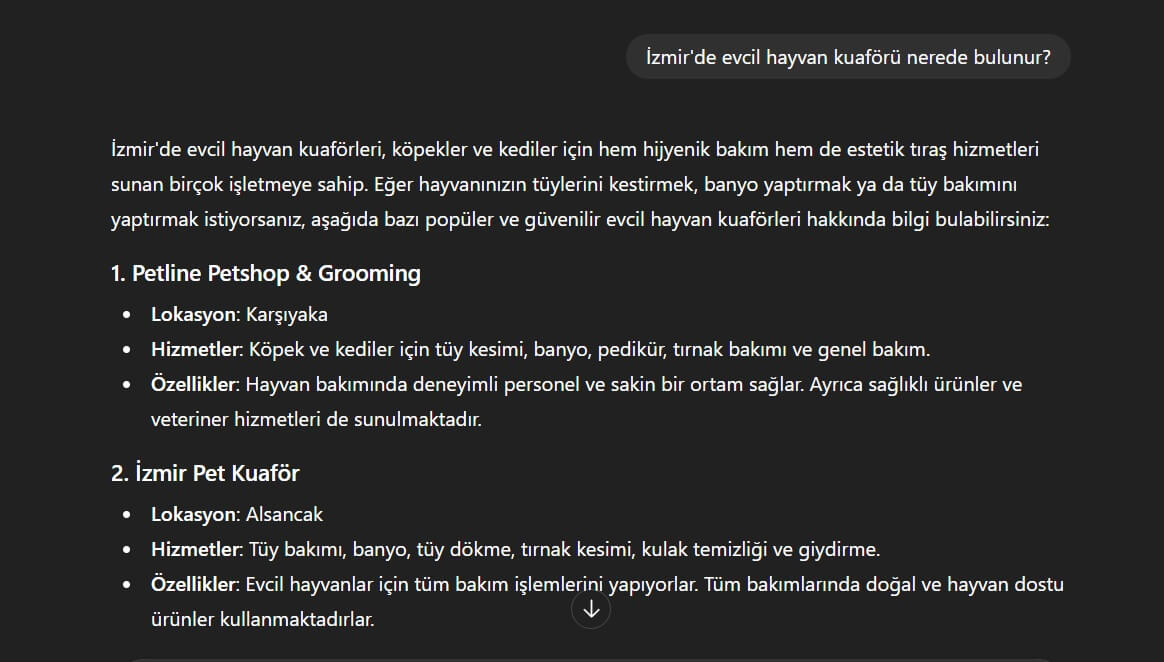 İzmir'de evcil hayvan kuaförü araması yapılan ChatGPT ekran görüntüsü